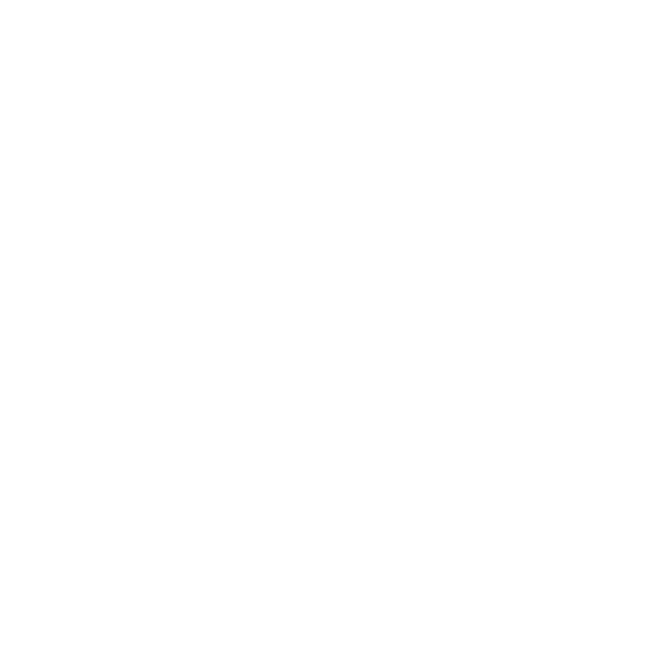 IMUN — Indian MUN emblem